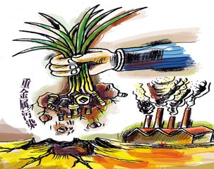 我國繪制土壤重金屬污染圖 元素增多污染擴大